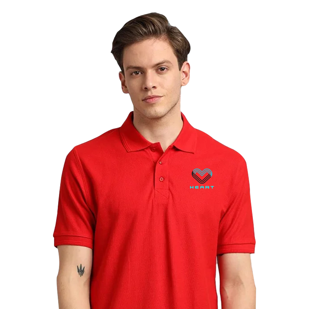 Embroided cotton Pollo Tshirts for Men